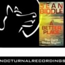 Sean Biddle - Disco Nights