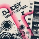 Dj Icey - Lexicon Hustla