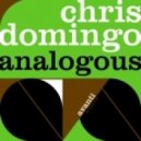 Chris Domingo - Analogous (steve Kaetzel Remix)