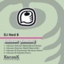 DJ Ned B, Matteo Monero - Unknown Direction