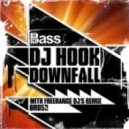 Dj Hook - Downfall