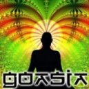 Goasia - Summer Solstice 2011