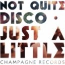 Not Quite Disco - Just Disco