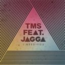 TMS feat. Jagga - I Need You