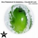 Max Freegrant & Underhill - Colors Of Life (Original Mix)