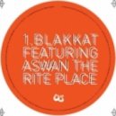 Blakkat - The Rite Place (Crazy Penis Remix)