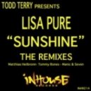 Todd Terry & Lisa Pure - Sunshine