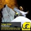 Tolga Diler - Mevlevism (Sebastian Garuti Remix)