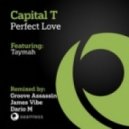 Capital T feat. Taymah - Perfect Love (Groove Assassin Masterclass Mix)