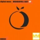 Digital Mess - Wonderfull East