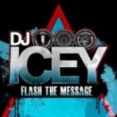 DJ Icey - Hold the Pain (feat. Melanie Rev)
