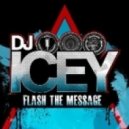 DJ Icey - Hold On