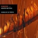 VNP - Fire 2011
