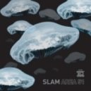 Slam - Distant Voice