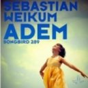 Sebastian Weikum - Adem