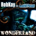 Robkay Feat. David Posor - Wonderland