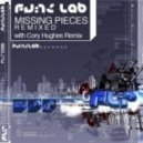 Funk Lab - Missing Pieces