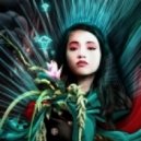 Cyberoptix - Geisha