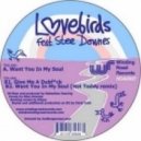 Lovebirds - Want You In My Soul (Hot Toddy Remix)