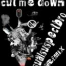 Sasha - Cut Me Down (Retroid Remix)