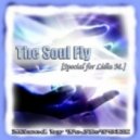 Dj ToJIcT9IK - The Soul Fly