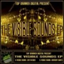 Visible Sound - Lost In Bass