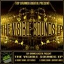 Visible Sound - Advisory Limits