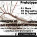 Prototyperz - In Connection
