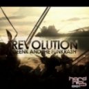 Deenk & the Funkrash - Revolution ()
