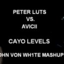 Peter Luts vs Avicii - Cayo Levels