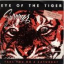 Survivor - Eye Of The Tiger (Antonio Desiderio 2012 Remix)