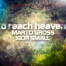Marto Gross & Igor Small - To reach heavens ()