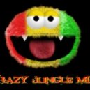 Mr. F.N.X. - Crazy Jungle Mix