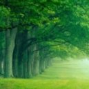 Anction Breeze - Ardiocentoree
