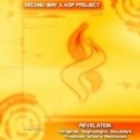 Second Way & ASP Project - Revelation