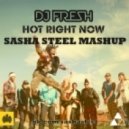 DJ Fresh vs. Redroche - Hot Right Now (Sasha Steel Special Mashup)