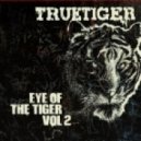 True Tiger - Only If You Knew ft P Money & Drifter