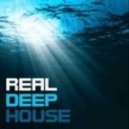 Damir Mix - Real Deeeep House