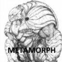 Metamorph - Broken Bone