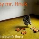 mr. Hnuk - Упавший Вниз