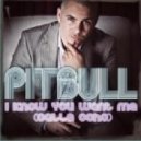 Funkwell ft. Pitbull & Luciana - Calle Ocho Still Hot