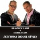 DJ Andrew S.Mile & Syntheticsax - Лезгинка (House Style)