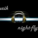 Kucik - Night flying