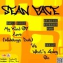 Emeli Sande vs. Ceejay - My Kind Of Love vs. What\'s Going On (Sean Face Mashup)