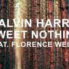 Calvin Harris Ft. Florence Welch - Sweet Nothing