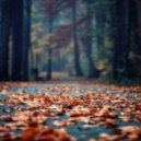 Dj Rush - Autumn Breeze Nonstop Mix