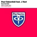 Paul Oakenfold vs. Zedd feat. Matthew Koma - Surrender Spectrum