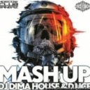 Pink vs. Haaski & Slava Dmitriev - Raise Your Glass (DJ Ice & Dima House Mashup)