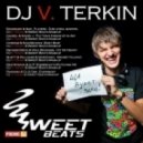 Rudenko & DJ A-One - Everybody (DJ V.Terkin & Sweet Beats Mashup)