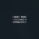 Controlled Kaos - Searching ()